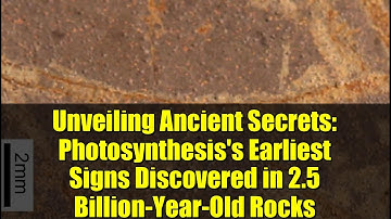 Unveiling Ancient Secrets: Photosynthesis
