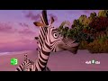 فيلم   مدغشقر        نجومي