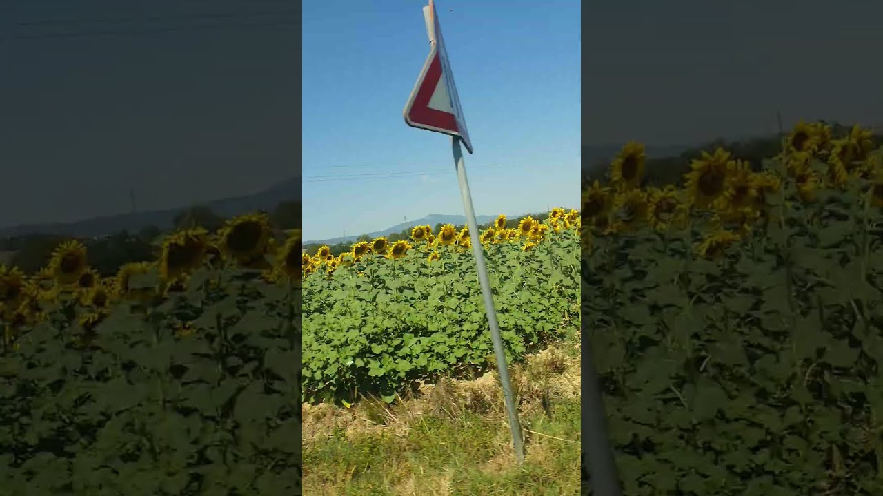 Lets Travel Letstravel Europeantrip Shortvideo Subscribe