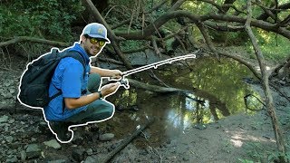 Fishing in a Puddle