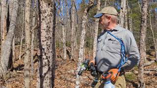 Drill and Fill for Tree Injection - Woods Work Flow and Productivity