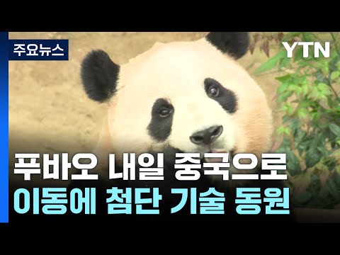 &#39;국민 판다&#39; 푸바오, 내일 중국으로 떠나요 / YTN