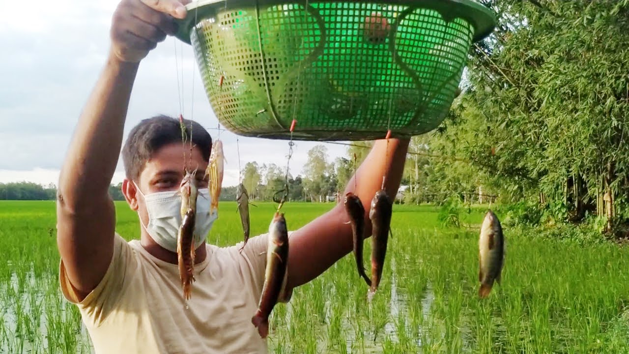 Best Hook Fishing Video || Traditional Amazing Hook Fishing || Smart Boys Catching Big Fish By Hook