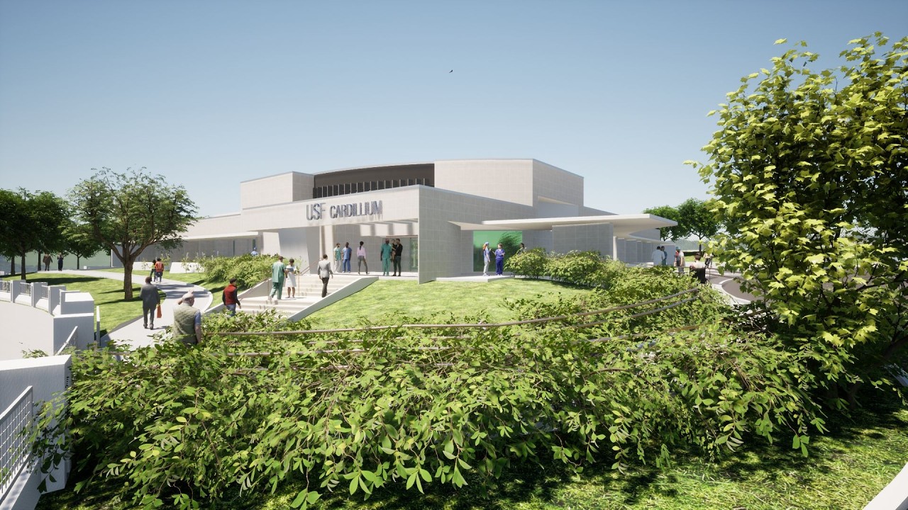 USF Cardillium