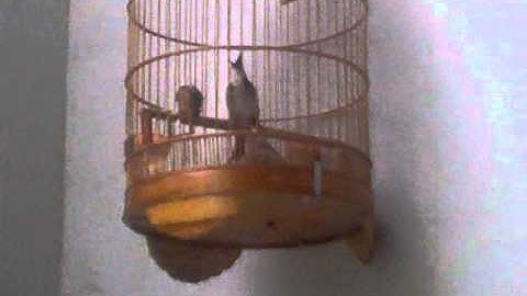 C:\Documents and Settings\ADMIN\Desktop\New Folder (2)\17102010021.mp4