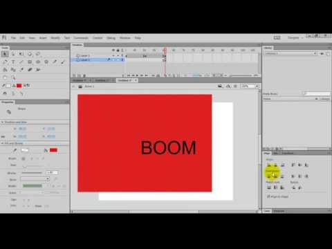 פלאש - יוצרים אנמציה ראשונה - סוגי פריימים
