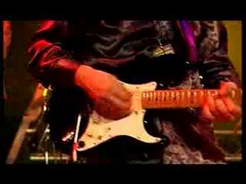 STILL COLLINS LIVE