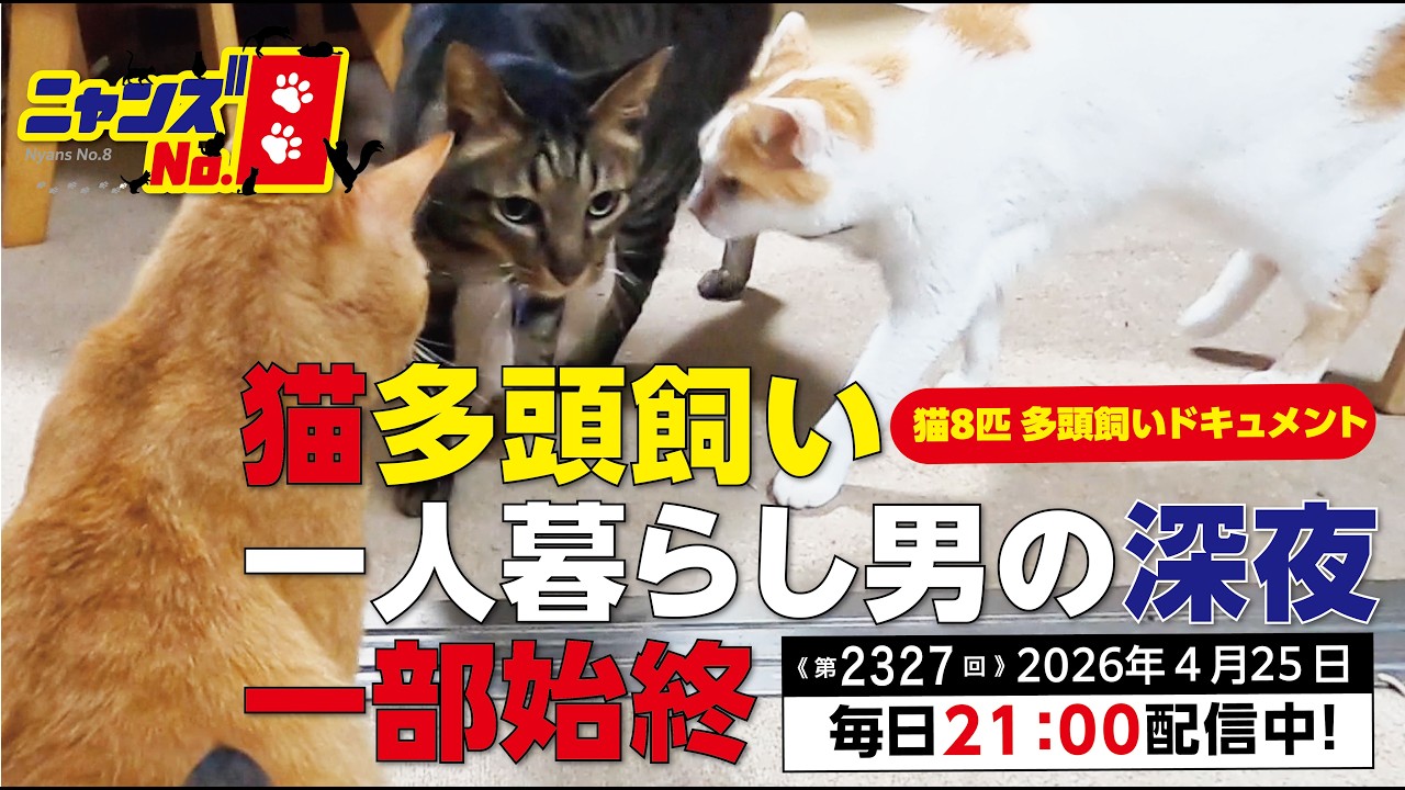 Episode 2327: The Whole Story of a Single Man with Multiple Cats