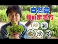 【夏野菜５種】自然農の種のまき方を杉田かおると楽しく学ぼう！【自家栽培】