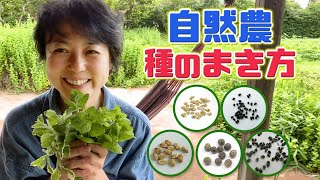 【夏野菜５種】自然農の種のまき方を杉田かおると楽しく学ぼう！【自家栽培】