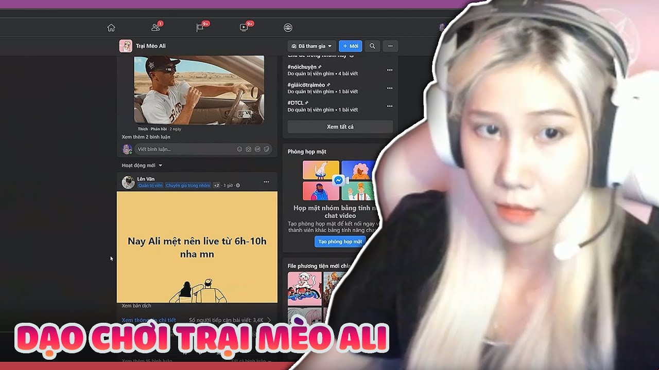 KHÁM PHÁ TRẠI MÈO ALI CÙNG ALICIA MEOW - YouTube