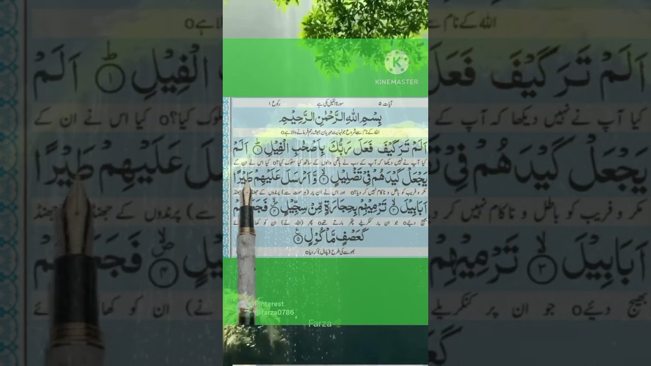 tilawat e Quran e pak surah feel #quran #tilawat #freequraneducation