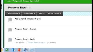 Progress Report - Assignment Overview