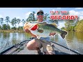 Fishing for a world record bass best lake ever