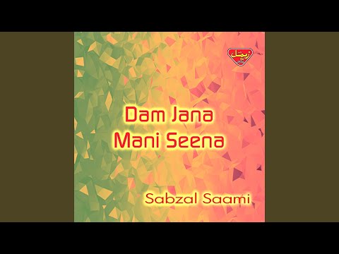 Dam Jana Mani Seena