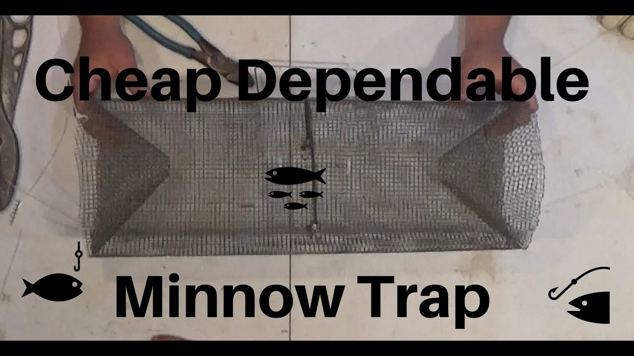 How To Build A Minnow Trap 