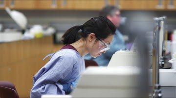 Tomorrow in the making