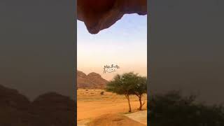 مكشات البر اج اء الشتاء ابيات شعر نبطي