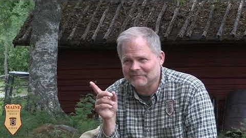 Understanding Bird Behavior and Language