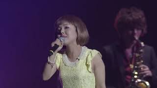 PERSONA MUSIC FES 2013 Never More ペルソナ4