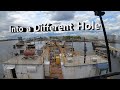 Into a Different Hole