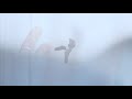 Justin Nozuka & Mahalia - No One But You (Visualizer)