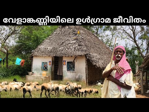 അധികമാരും കാണാത്ത വേളാങ്കണ്ണിയിലെ ഉൾഗ്രാമ കാഴ്ച്ചകൾ | Velankanni Villages | Papakovil Dargrah