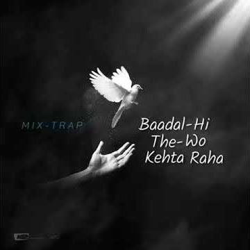 Toota Toota ek parinda whatsapp status