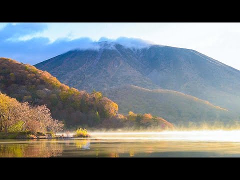紅葉の日光でソロキャンプ | 菖蒲ヶ浜キャンプ村・中禅寺湖 | いろは坂・竜頭の滝Vlog