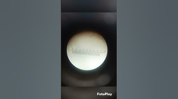 Stage Micrometer /Ocular Micrometer #microscopy