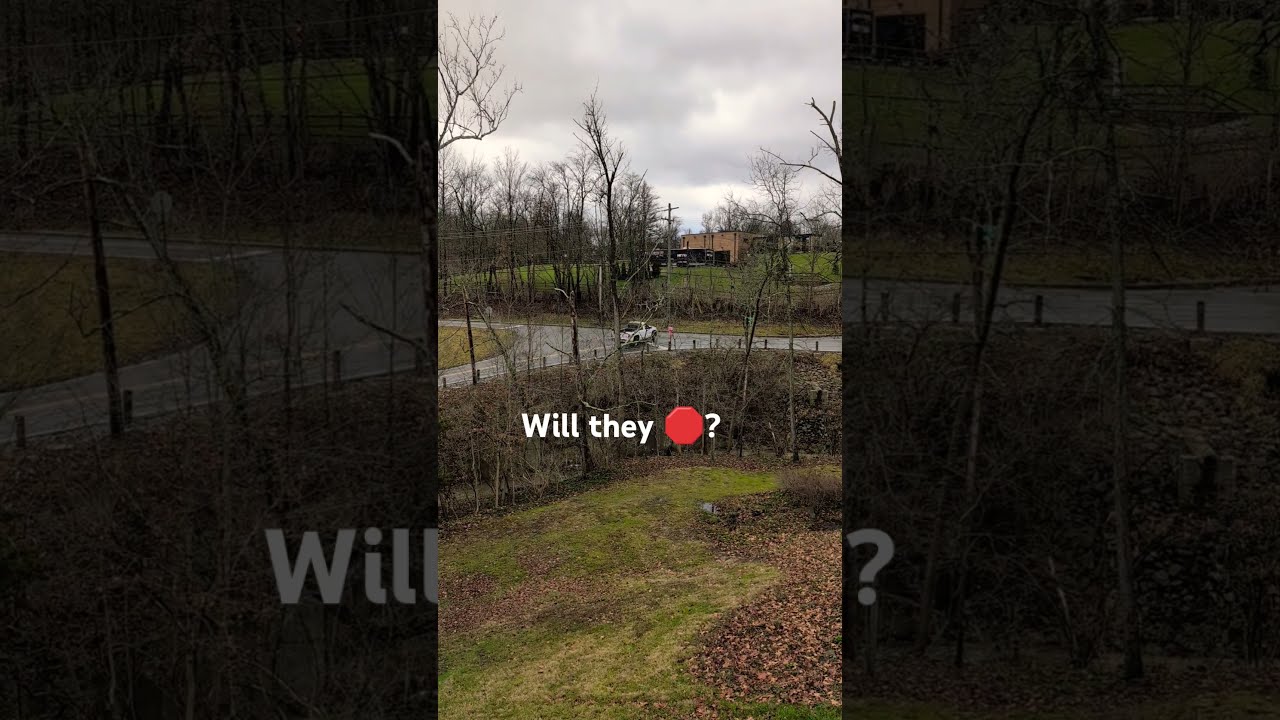 Will They Run It Or Not Cars Question