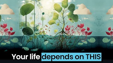 The Photosynthesis Machine That Shouldn’t Exist