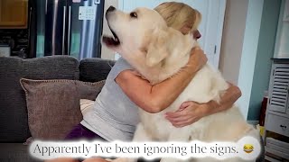 I Hugged My Golden Retriever to See If This Was Actually True 😂