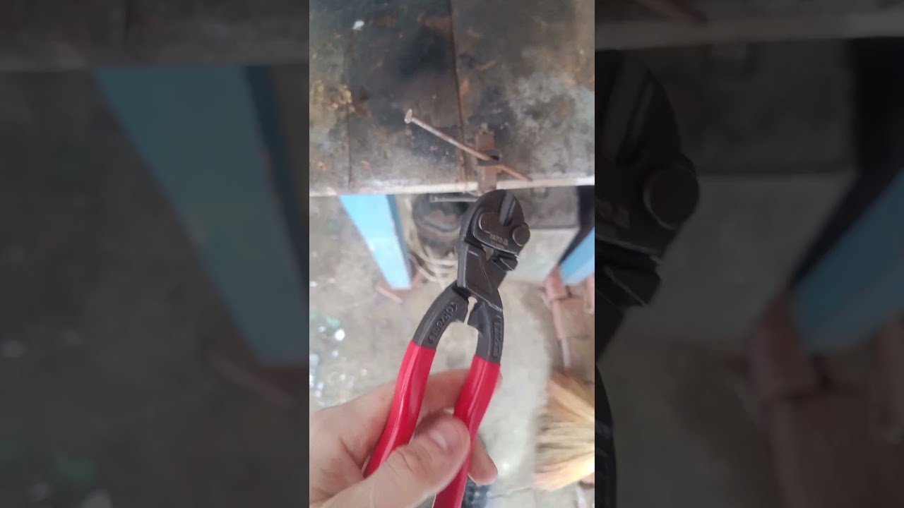 Кусь анархиста ) 