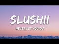 Slushii - Never Let You Go (Lyrics) ft. Sofia Reyes