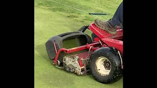 Play Golf Lex Maintenance Staff