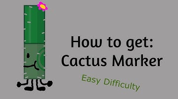 How to Find Cactus Marker (Find The Markers)