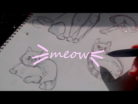 ASMR ✍️Dibujando 🐈SOFT SPOKEN