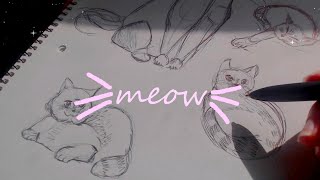 ASMR ✍️Dibujando 🐈SOFT SPOKEN screenshot 1