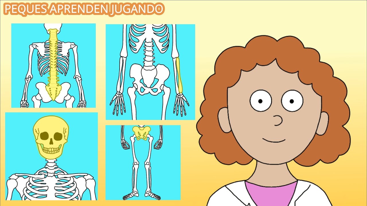 Los huesos en inglés video para niños de Peques Aprenden Jugando - YouTube