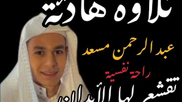 ماتيسر من سورة يونس بصوت القارئ عبد الرحمن مسعد