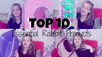 Top 10 Essential Rabbit Products