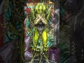 Nidus Fashion frame #fashionframe