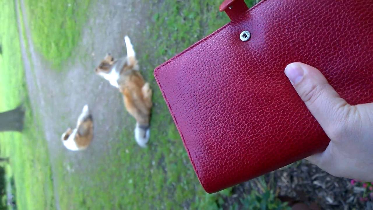 Unboxing of Filofax Finsbury Personal in Red