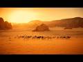 Desert Secrets: How Life Finds a Way