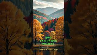 가을 을 위한 노래 #가을 #가을노래 #음악 #가을음악 #노래 #노래모음 #노래추천 #신곡 #신곡공개 #신곡듣기 #가을음악