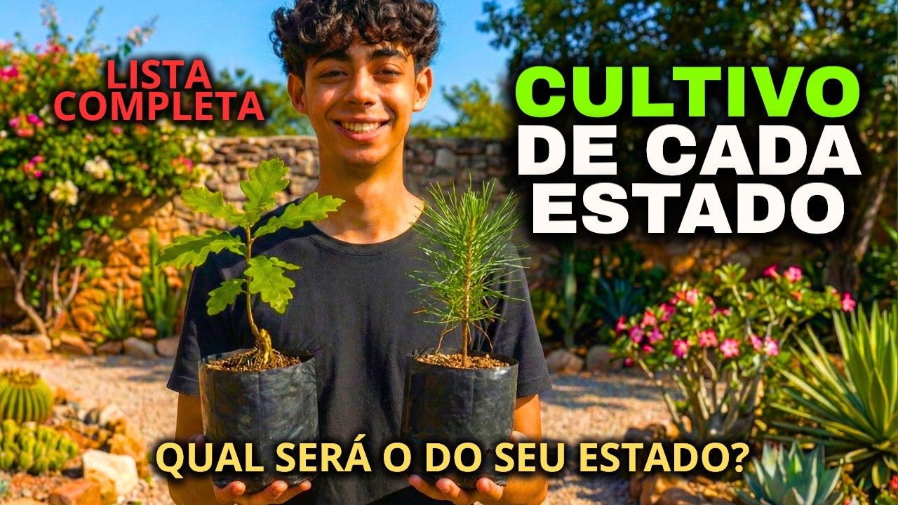 O Cultivo que é Símbolo de Cada Estado Brasileiro