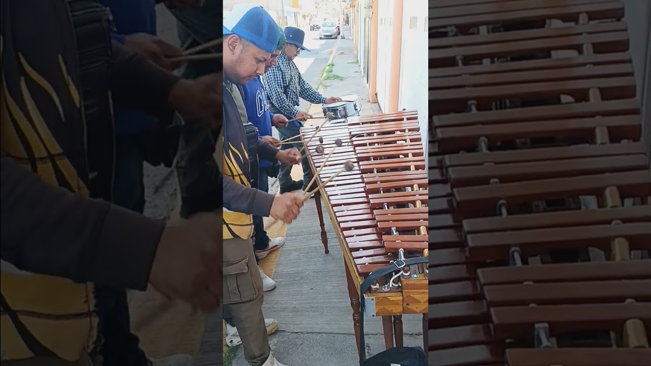 Marimba en Tultitlan 