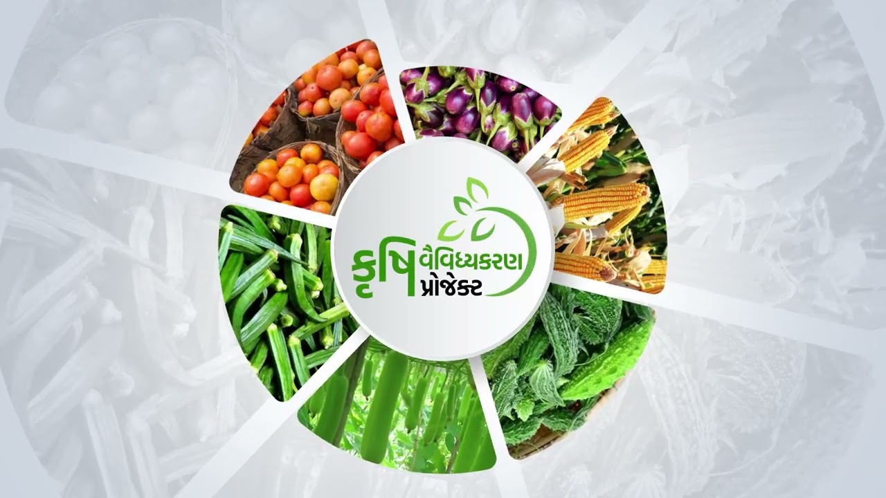 TDD GSFC GUJARAT 2022