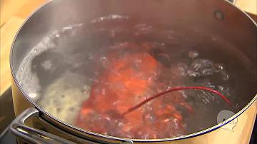 ¿Por qué se pone la langosta en agua helada después de hervirla?